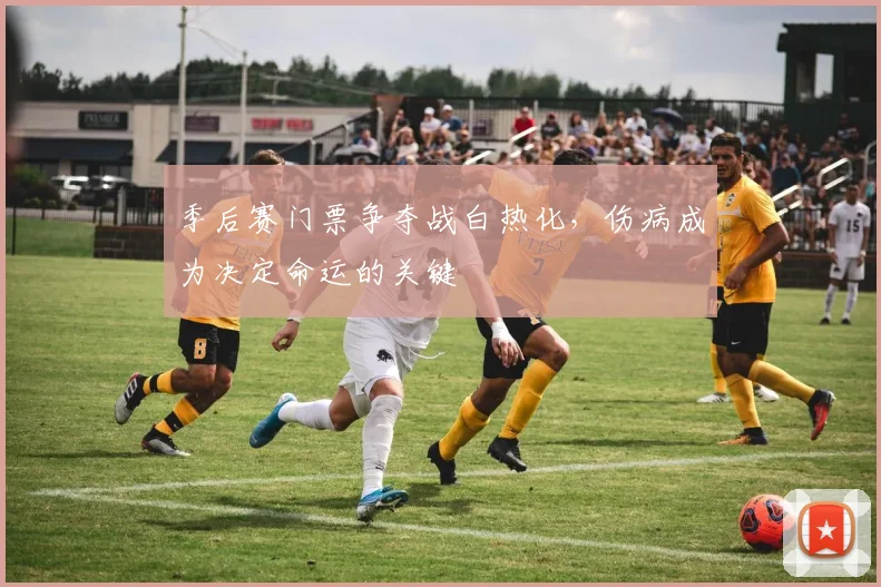 季后赛门票争夺战白热化，伤病成为决定命运的关键