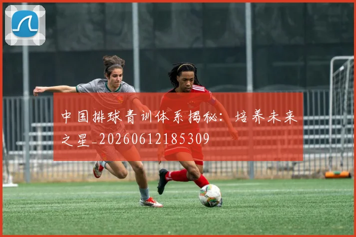 中国排球青训体系揭秘:培养未来之星_20260612185309
